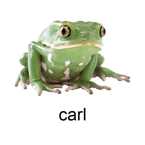 Carl