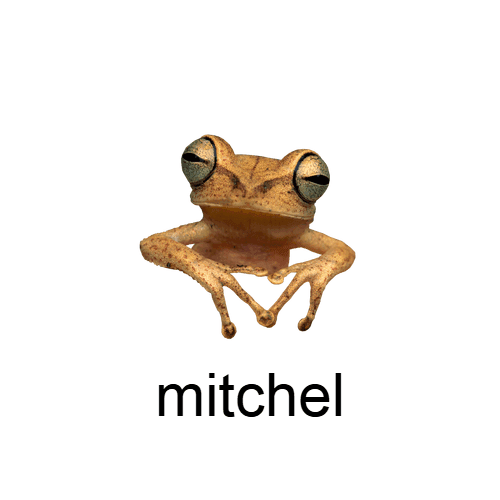 Mitchel