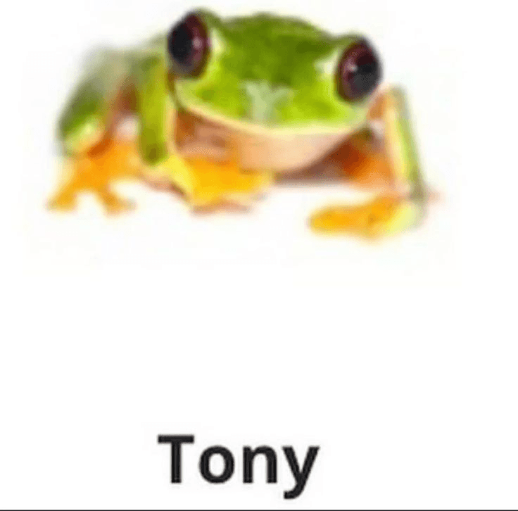 Tony