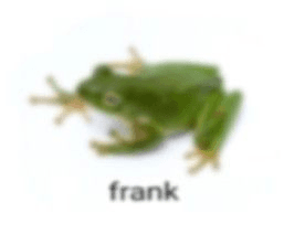 Frank